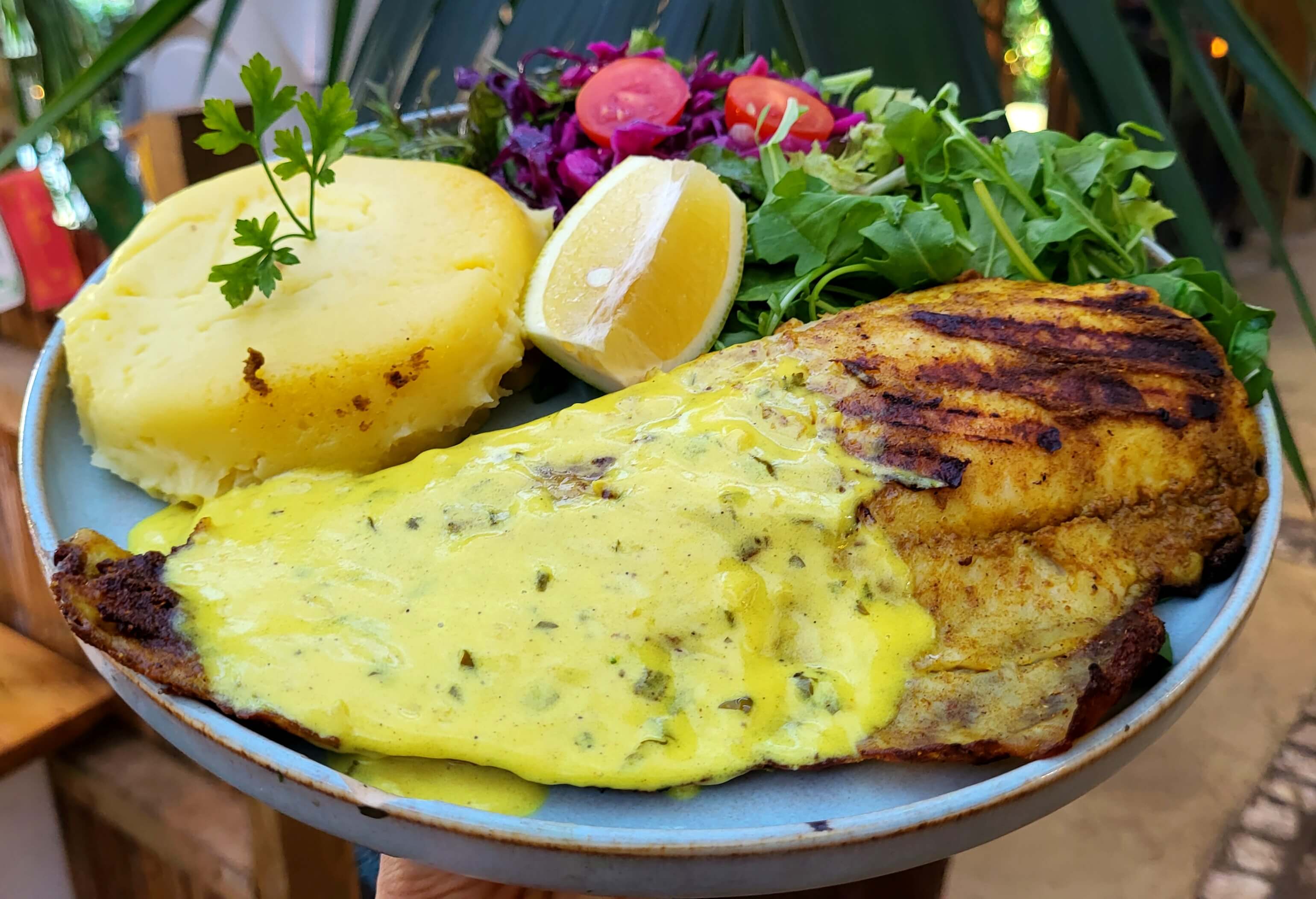 GRILLED FISH | 12,5